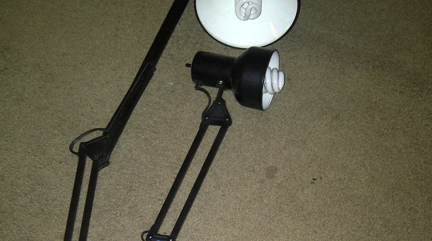 Zwei schwarze Gelenklampen auf einem Teppich